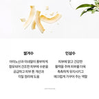 Face Cream Moisturizing Nourishing Anti-aging