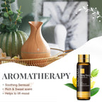 Diffuser Aroma Essential Oil